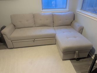 Light Gray Sleeper Sofa with Storage