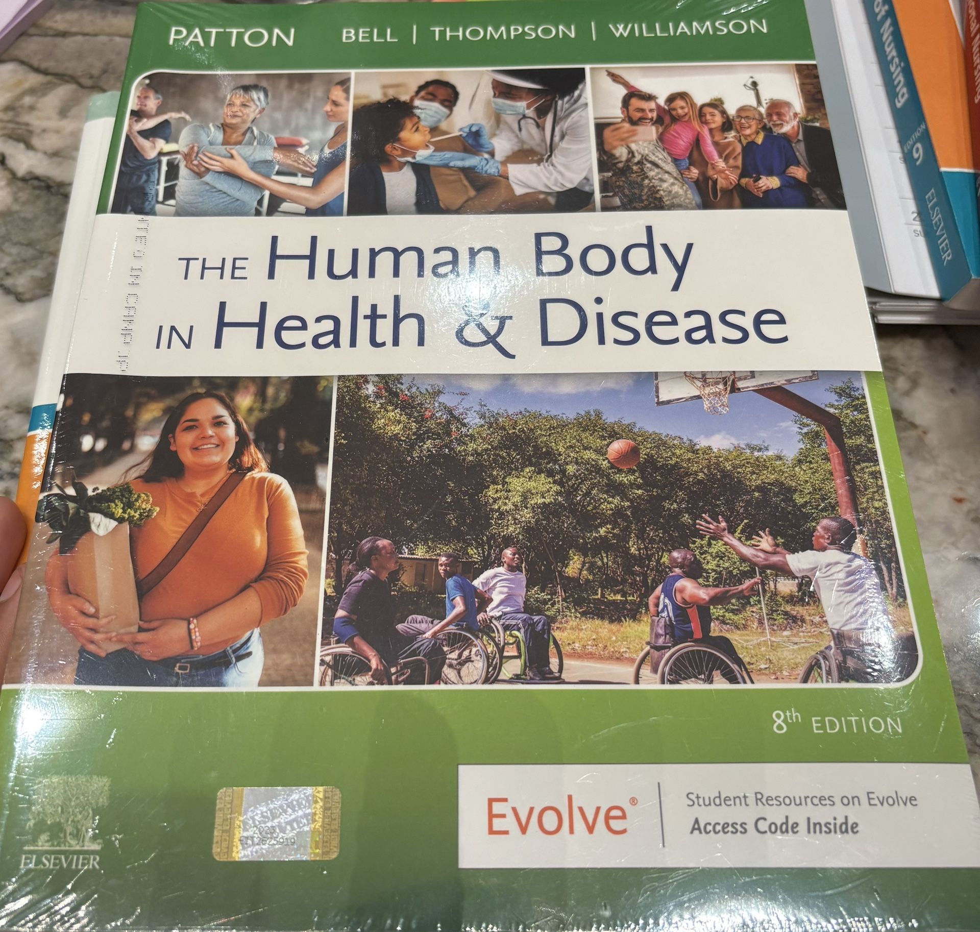 d1293936cf054ef8b0697c6e9e02c5