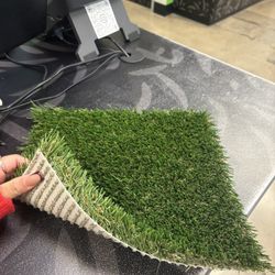 Turf/Zacate special offer for pets 