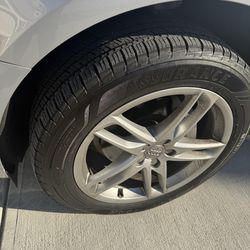 19 inch Audi Q5 wheels and tires