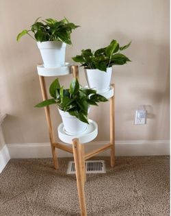 IKEA bamboo plant stand