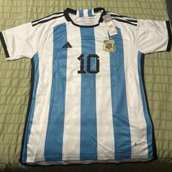 Argentinian World Cup Jersey ( L ) 2⭐️⭐️  Good Quality 