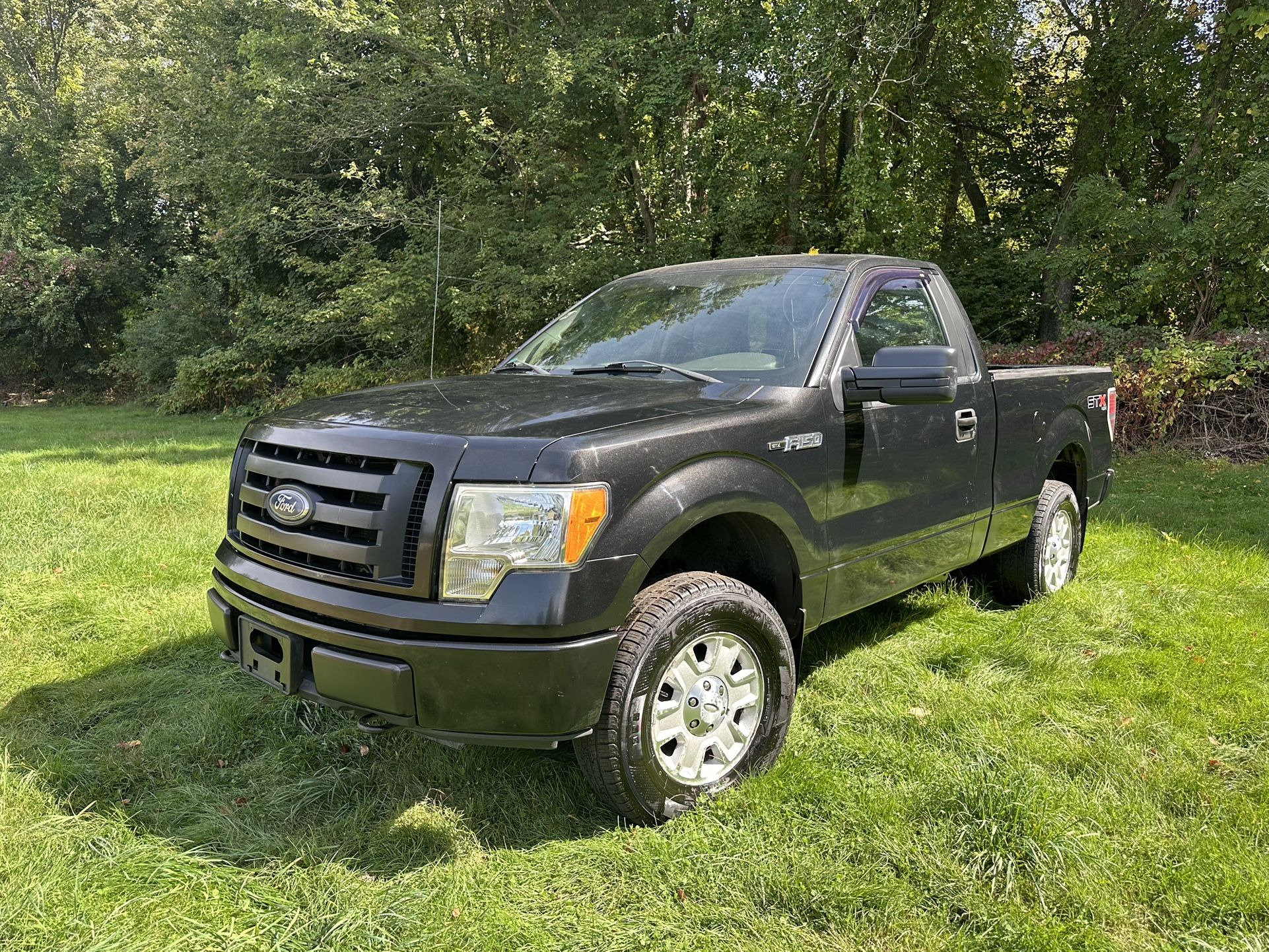 2010 Ford F-150