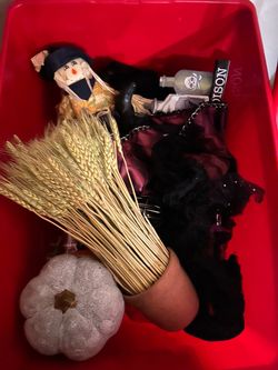 Halloween bin