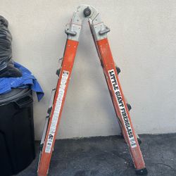 Little Giant Fiberglass Ladder Type 1A 