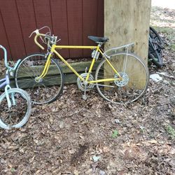 1972 Shwinn Varsity