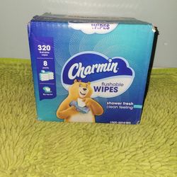 Box 320 Flushable Wipes