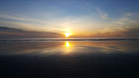 Original Art... Photographs by Paul Ant