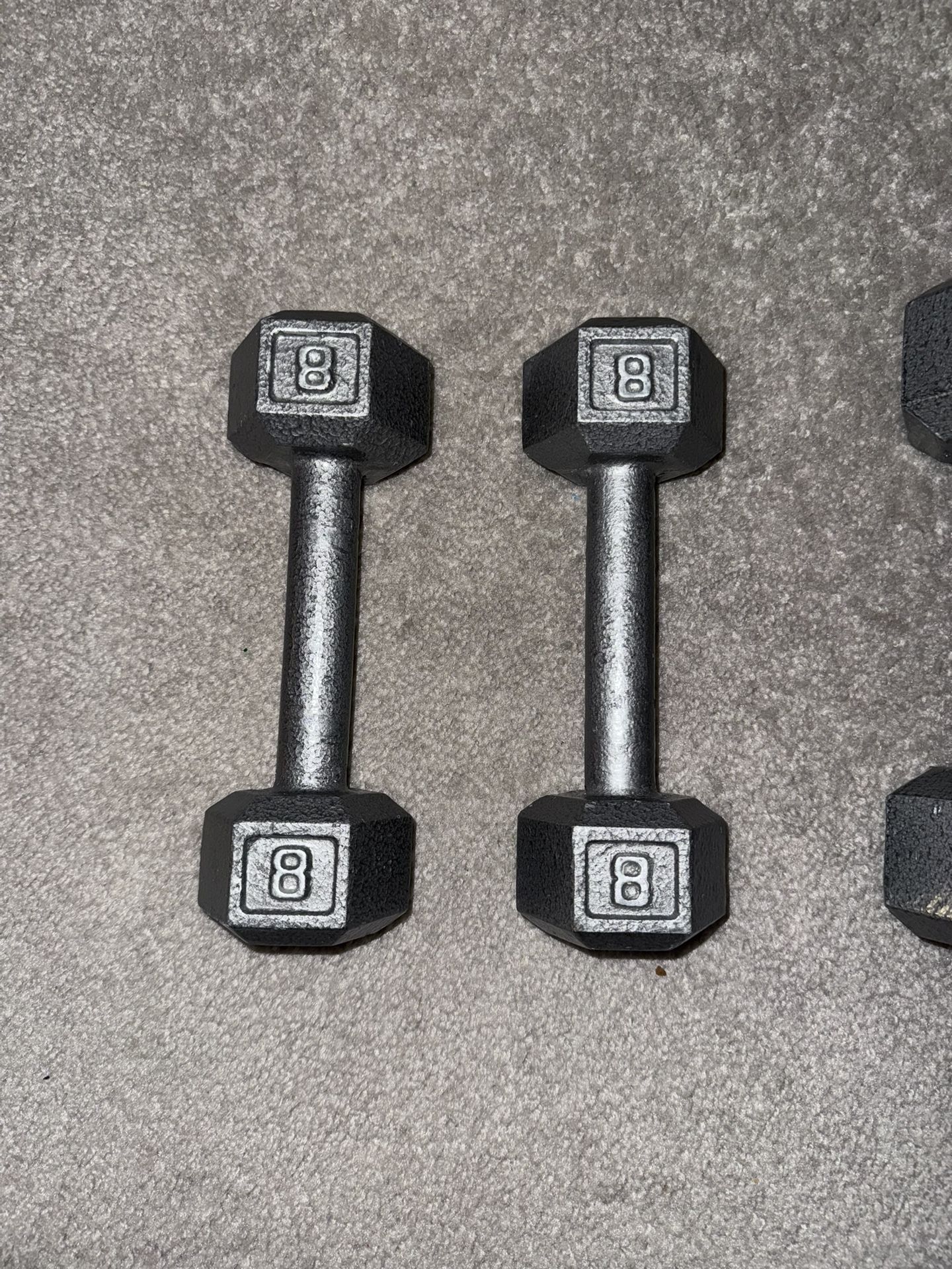 8lb Dumbbell Set