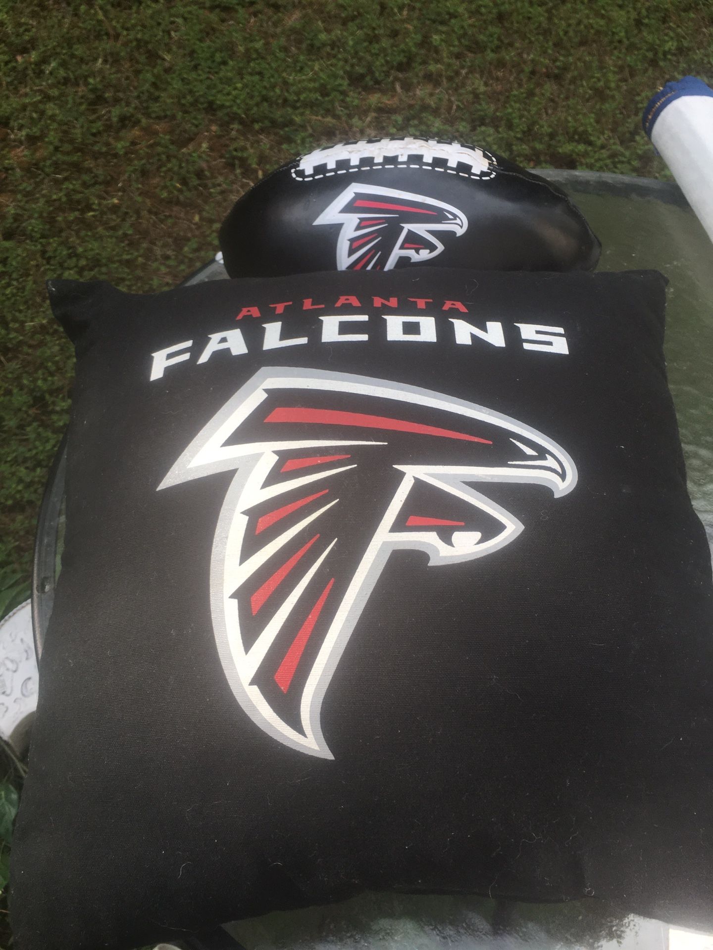 Falcons Decor