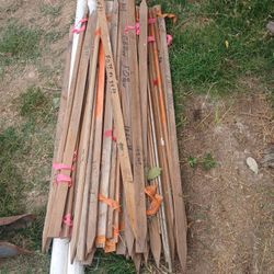 Wood Stakes 