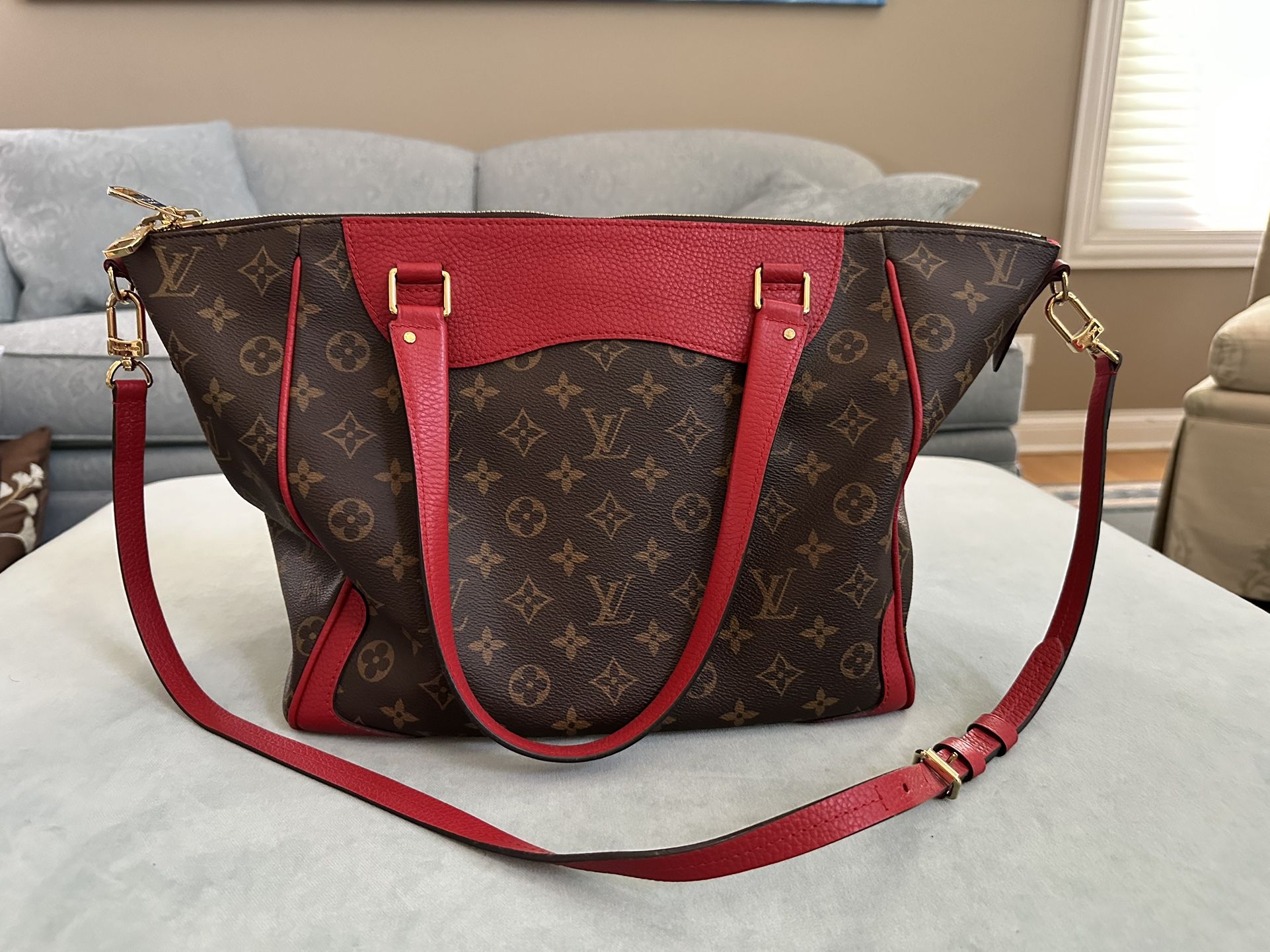 Louis Vuitton Carry Bag