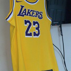 Nike Lebron James Icon Jersey Mens (S)