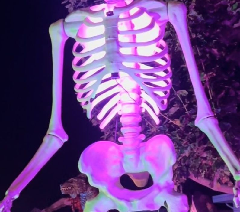 Led Chest Light With Remote For 12ft Skeleton / Halloween Decorations