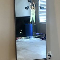 MIRROR - With  Hardware And Resistance Bands