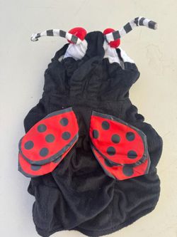 Ladybug Pet Halloween Costume