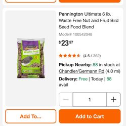 Bird Feed