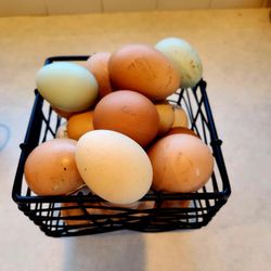  EGGS $6