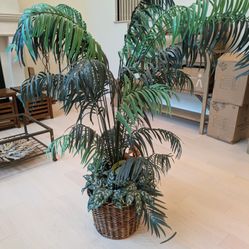 Free - Fake Tropical Tree In Basket (6ft)