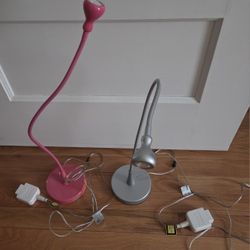 Two Desk Lamps
