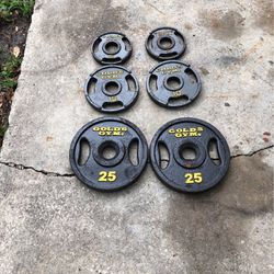 Golds Gym Plates 