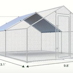 Large Chicken Run