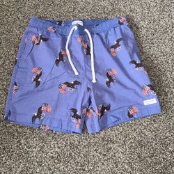 Bathing Suit