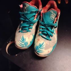 Lebron arnold Palmer 