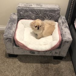 Dog Bed