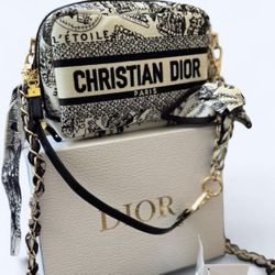 Dior Cosmetic Handbag 