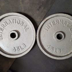 International 45lb Deep Dish Olympic Weight Plates