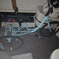 Bike With A Back Where You Can Put Stuff