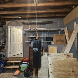 EverLast 90lb Punching Bag
