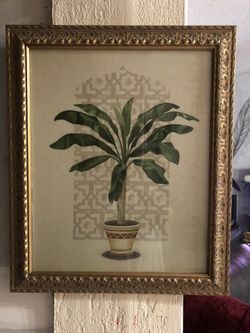 Pretty picture (20x24 (gold frame)