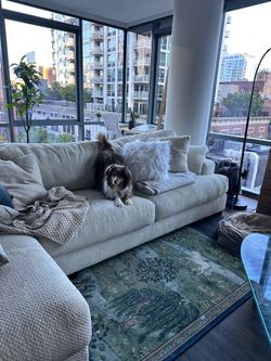 White Couch