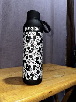 Disneyland Water Bottle