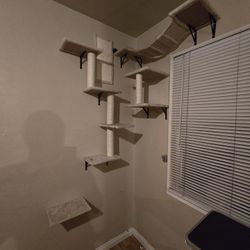 Cat playground 