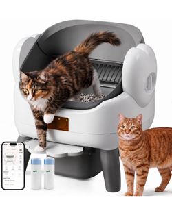 Electronic cat litter box