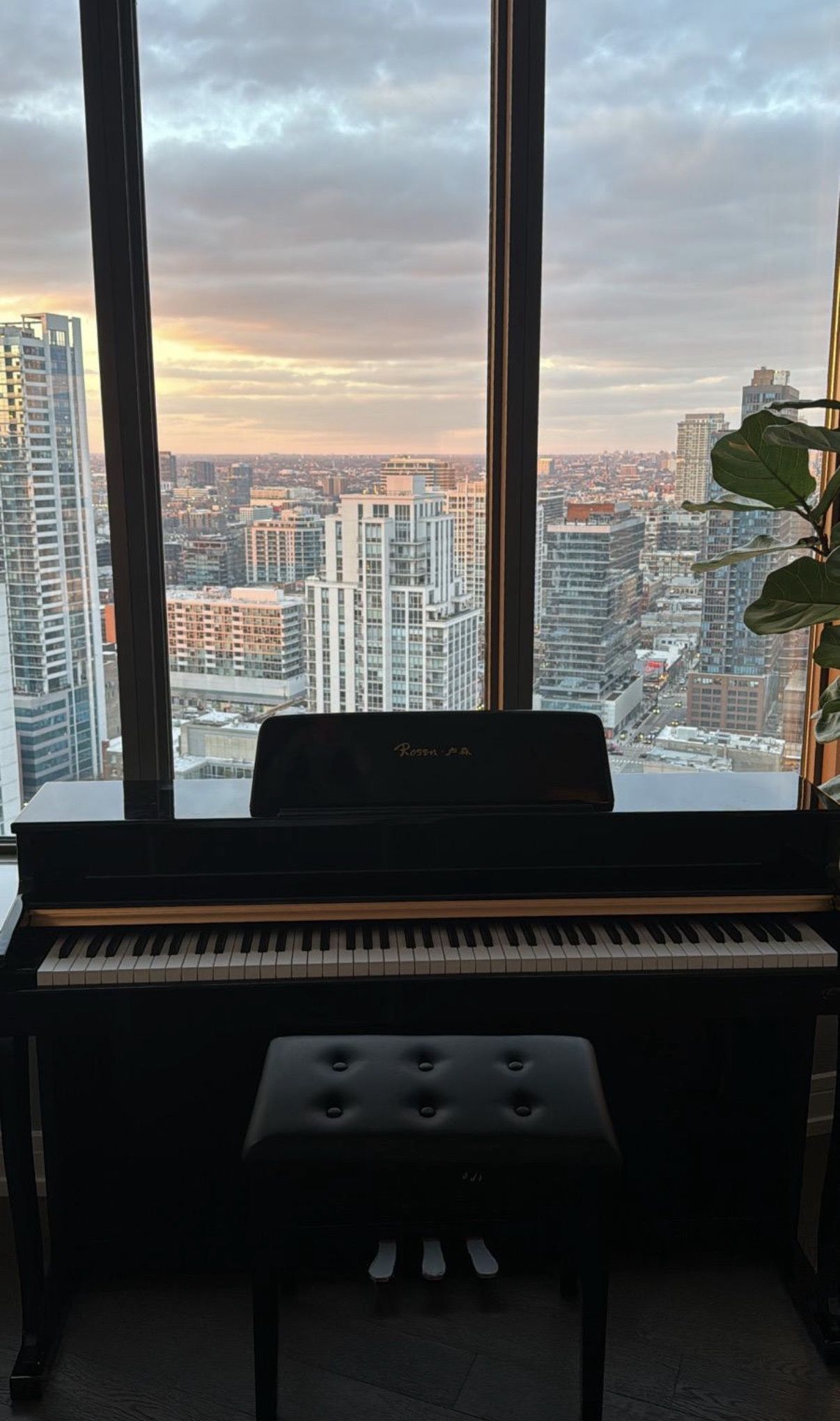 Rosen P70 Digital Piano – Like New – 88 Keys