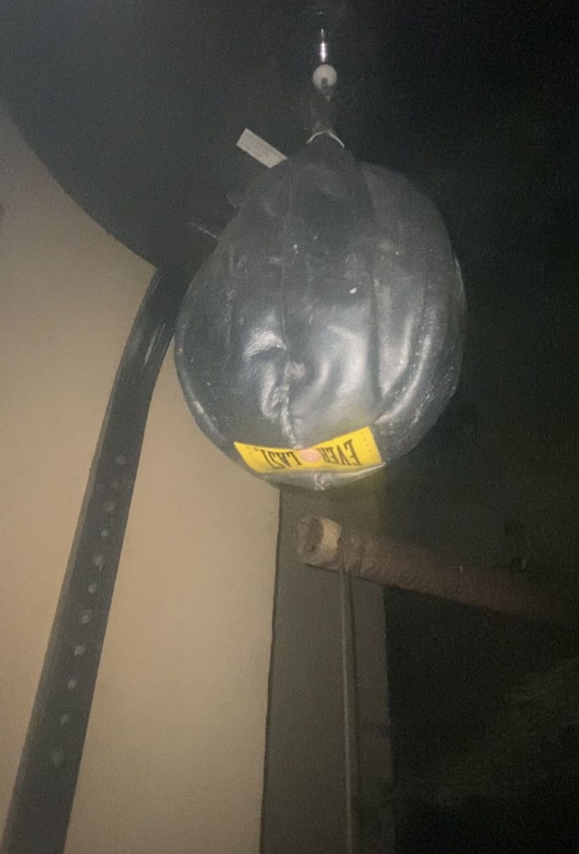 Speed Bag Everlast