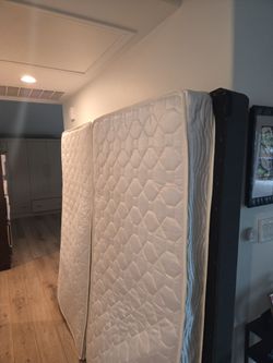 Two twin mattresses + box springs