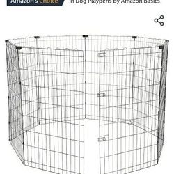 Pet Accessories
