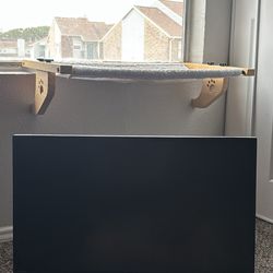 ASUS Computer Monitor 24”