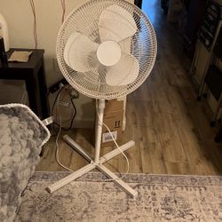 Oscillating Fan