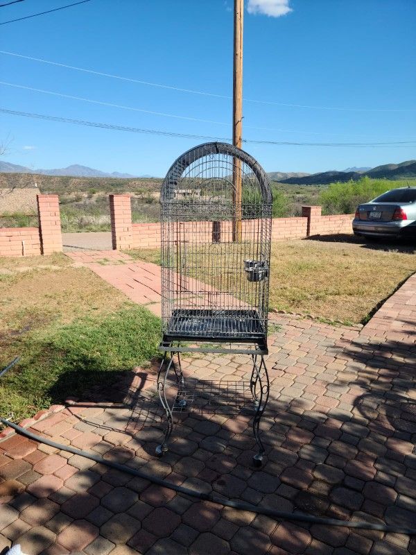 Bird Cage