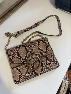Snakeskin Urban Expressions