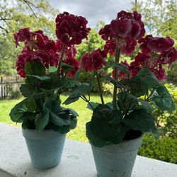 Fake Flowers pots 