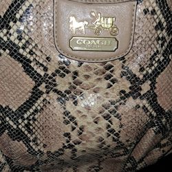 Coach Python Purse  40.00 