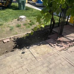 Stump Grinding