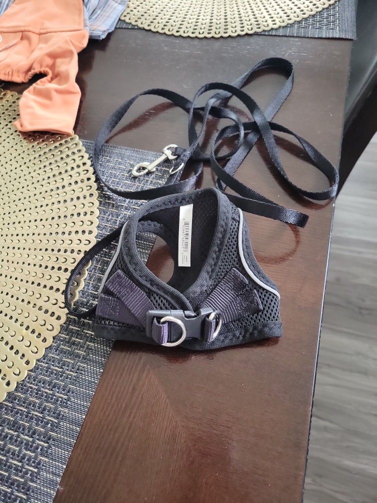 Pet Hardness with leash